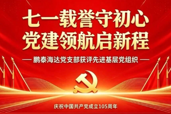 七一载誉守初心 党建领航启新程｜鹏泰海达党支部获评先进基层党组织