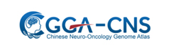 GGA-CNS
